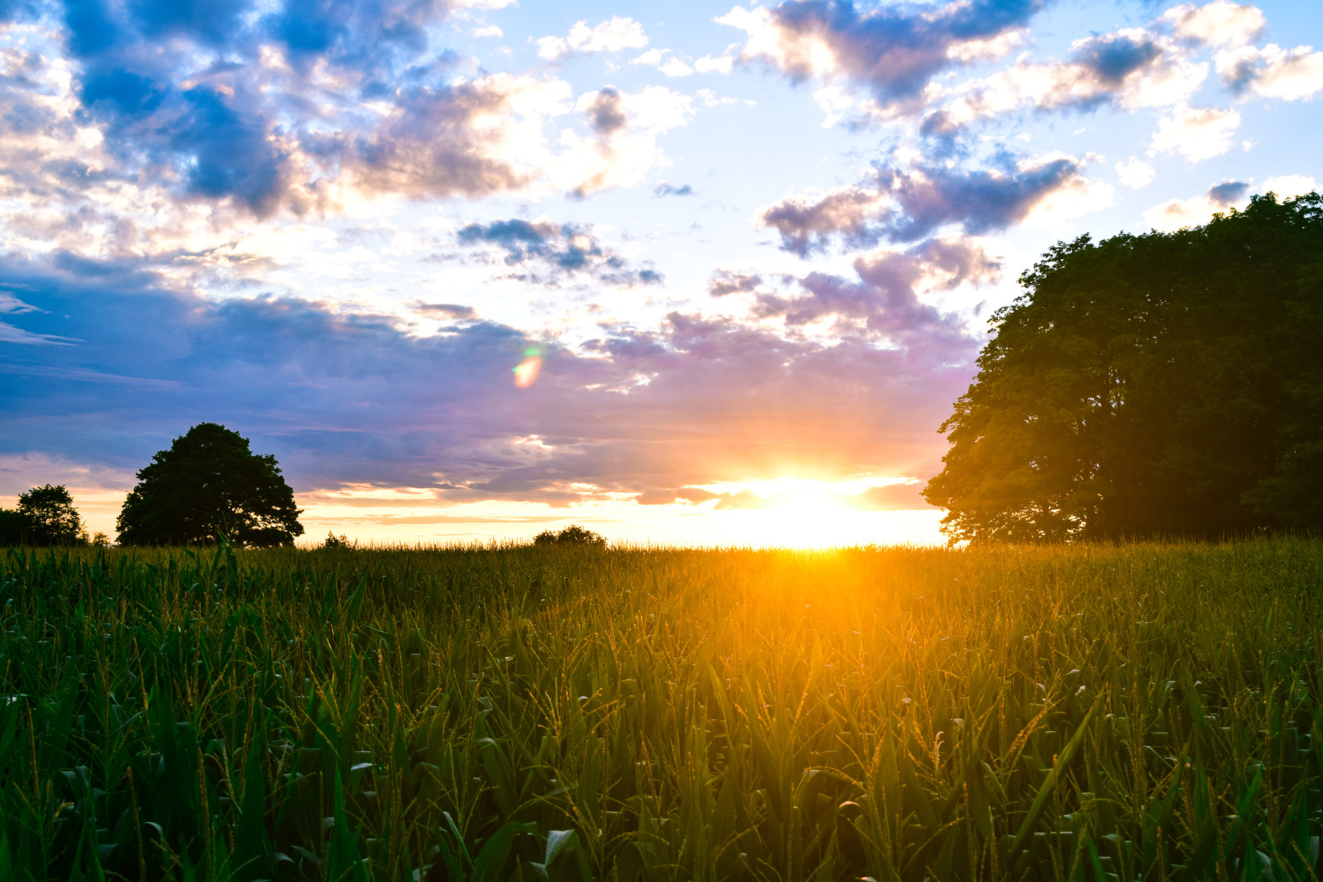 landscape photography