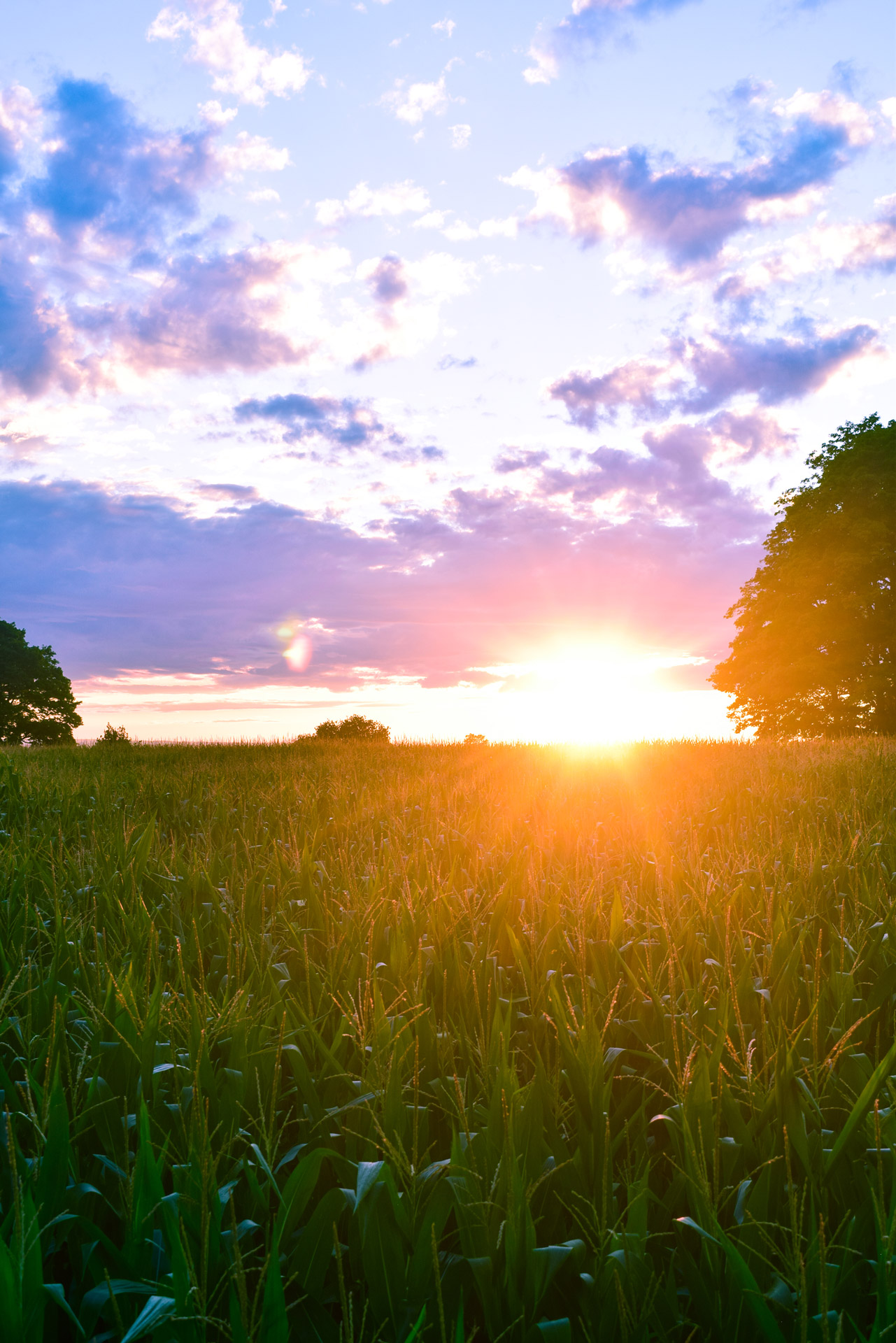 landscape photography