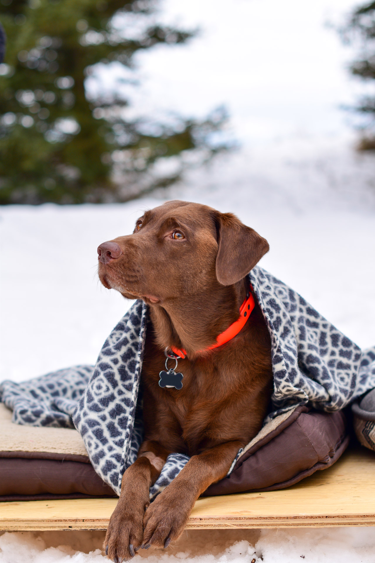 lifestyle photography